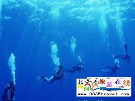 北戴河碧螺塔行者潛水俱樂(lè)部