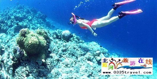 北戴河碧螺塔行者潛水俱樂(lè)部