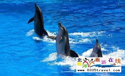 山海關(guān)樂島海洋公園