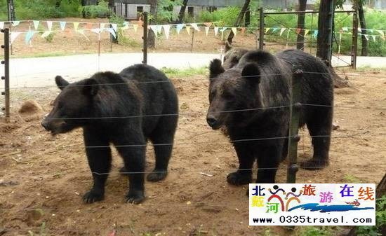 秦皇島野生動物園