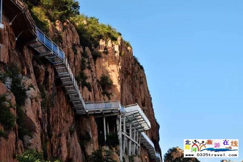 秦皇島龍?jiān)乒龋∩叫闼┚皡^(qū)電話(huà)18633570222  15703350808